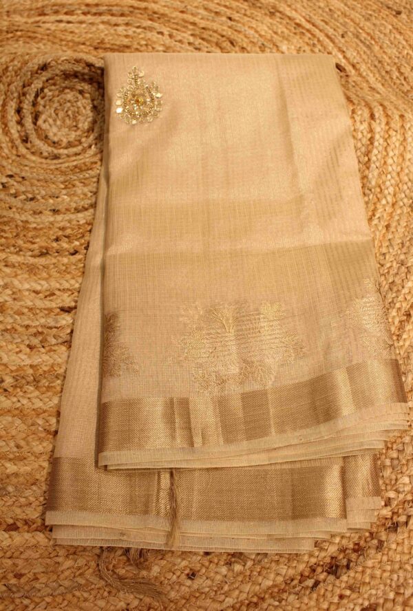 Gold Mirror work Tissue Saree