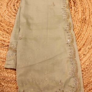 Alternative view of Mirror work Scallop Border Organza Designer Saree