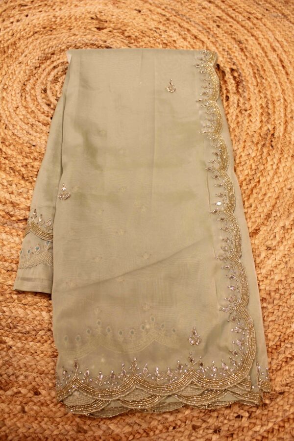 Mirror work Scallop Border Organza Designer Saree - Image 2