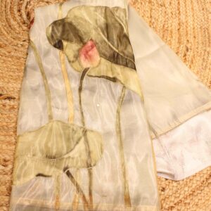 Organza Printed with Aari Work Saree