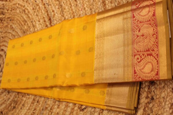 Mustard & Pink Big Border Pure Kanchi Silk Saree - Image 2