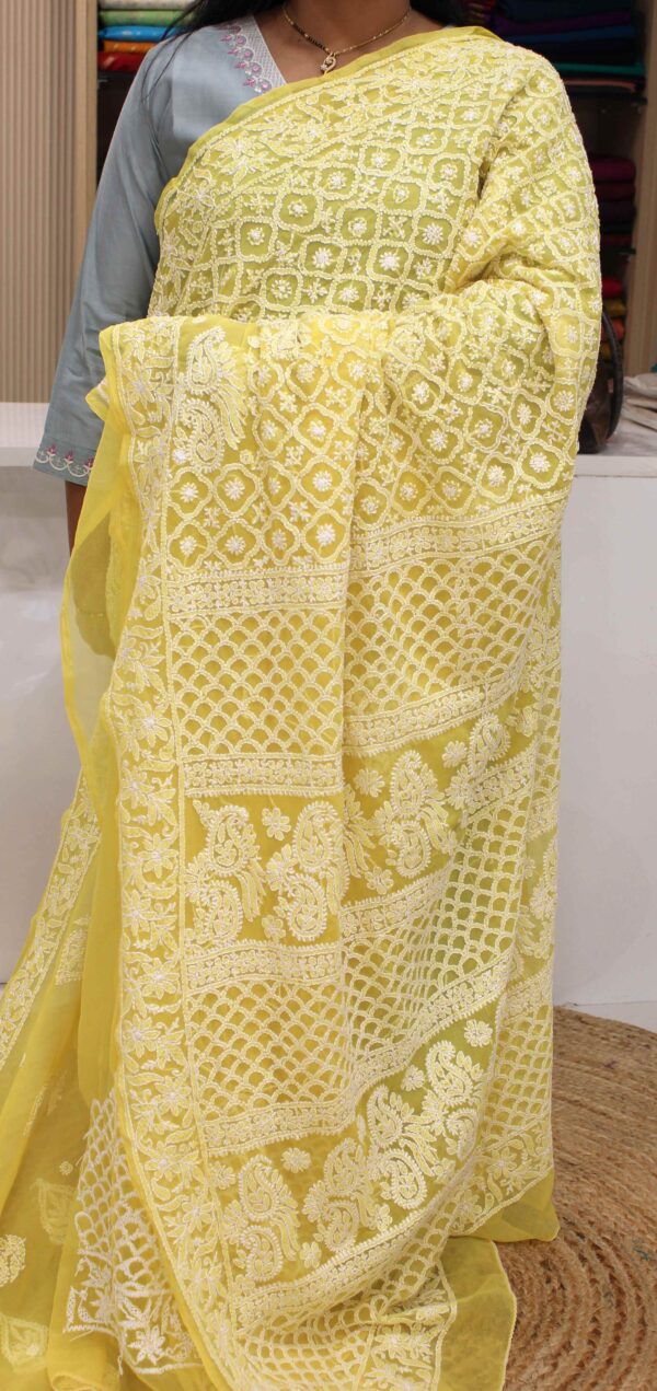Leaf Motifs Chikankari Hand Work Chiffon Saree - Image 2