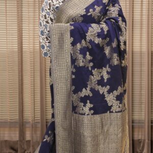 Zari Woven Jaal Chinnon Banaras Saree