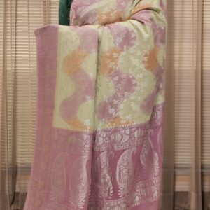 Floral Jaal with Contrast Border Rangkat Georgette Banaras Saree