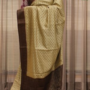Antique Zari Woven Floral Motiffs Pure Chiniya Silk Saree