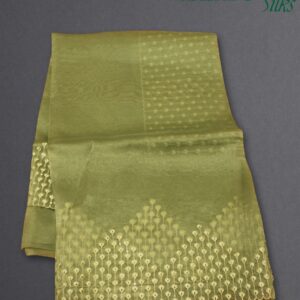 Thread Work with Scallop Boder Organza Saree