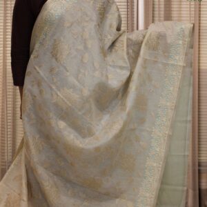 Floral Aplique work with Embroidered Border Linen Tissue Saree